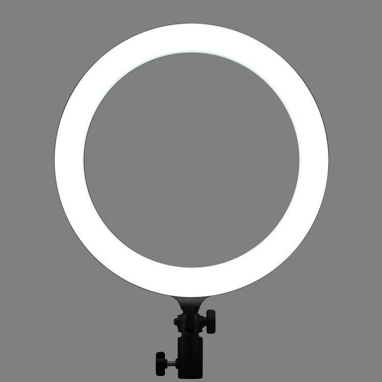 Godox LR120 Bi-Color LED Ring Light (12", Black)