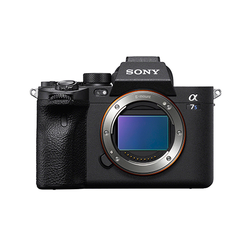 Mirrorless Cameras