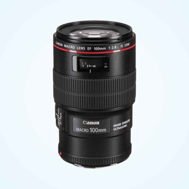 Canon EF 100mm f/2.8L Macro IS USM Lens